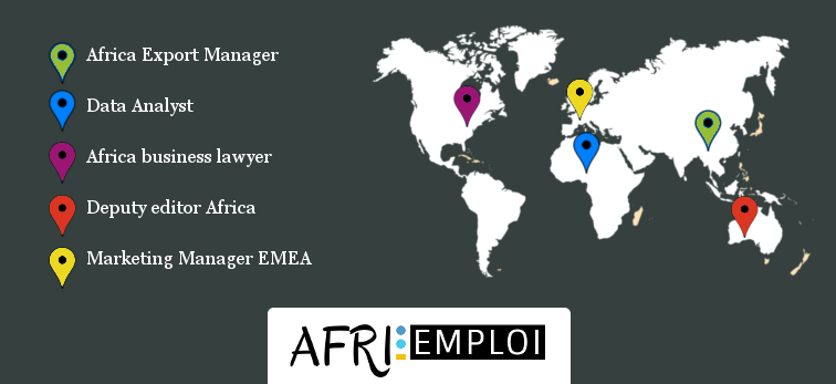 afri-emploi.com, executives management africa